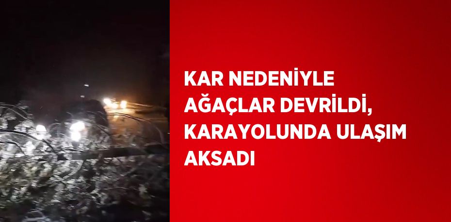 KAR NEDENİYLE AĞAÇLAR DEVRİLDİ, KARAYOLUNDA ULAŞIM AKSADI