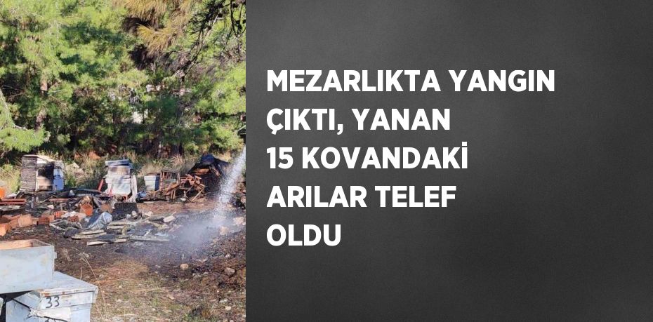 MEZARLIKTA YANGIN ÇIKTI, YANAN 15 KOVANDAKİ ARILAR TELEF OLDU