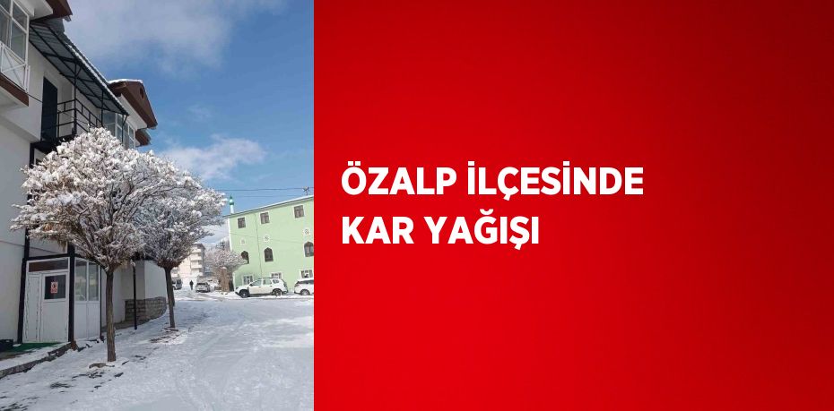 ÖZALP İLÇESİNDE KAR YAĞIŞI