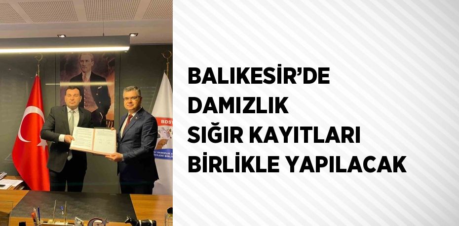 BALIKESİR’DE DAMIZLIK SIĞIR KAYITLARI BİRLİKLE YAPILACAK