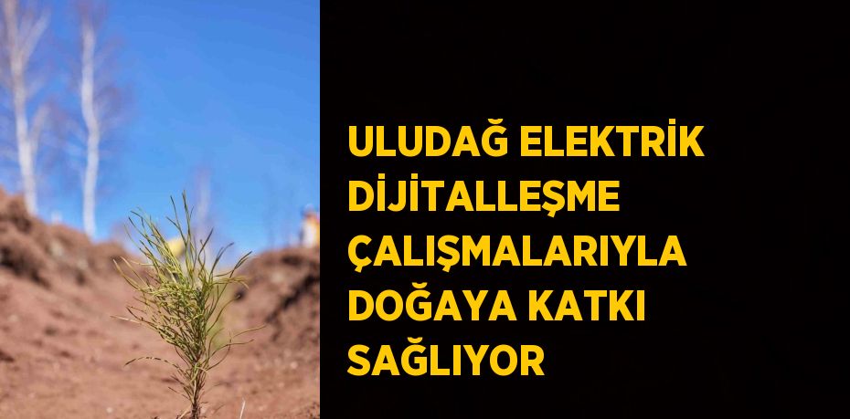 ULUDAĞ ELEKTRİK DİJİTALLEŞME ÇALIŞMALARIYLA DOĞAYA KATKI SAĞLIYOR