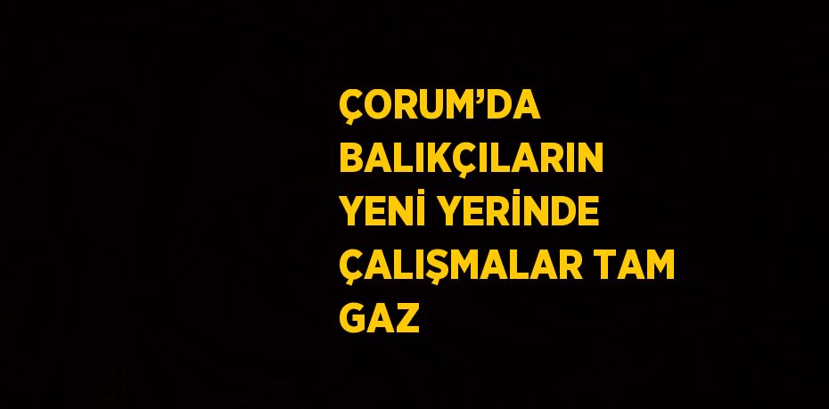 ÇORUM’DA BALIKÇILARIN YENİ YERİNDE ÇALIŞMALAR TAM GAZ