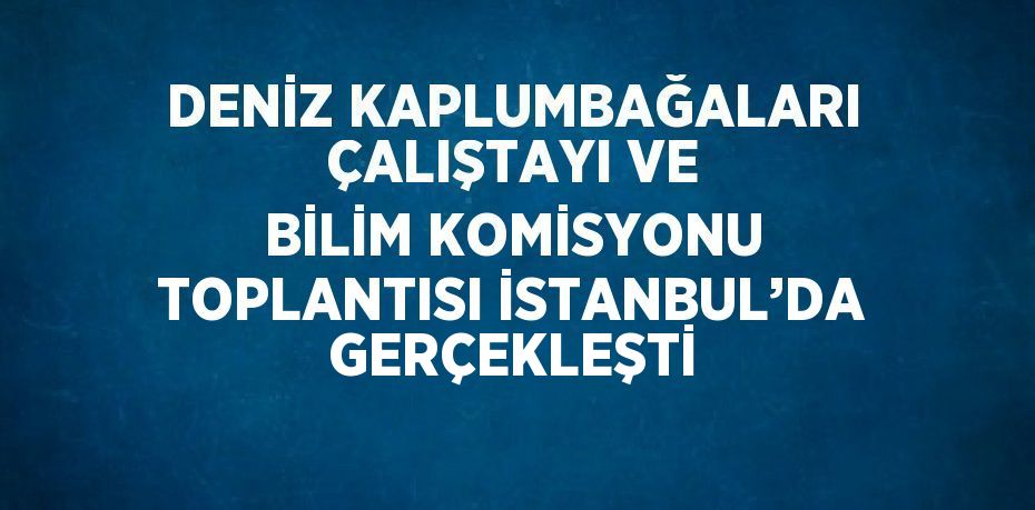 DENİZ KAPLUMBAĞALARI ÇALIŞTAYI VE BİLİM KOMİSYONU TOPLANTISI İSTANBUL’DA GERÇEKLEŞTİ