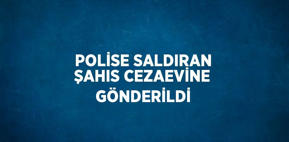 POLİSE SALDIRAN ŞAHIS CEZAEVİNE GÖNDERİLDİ