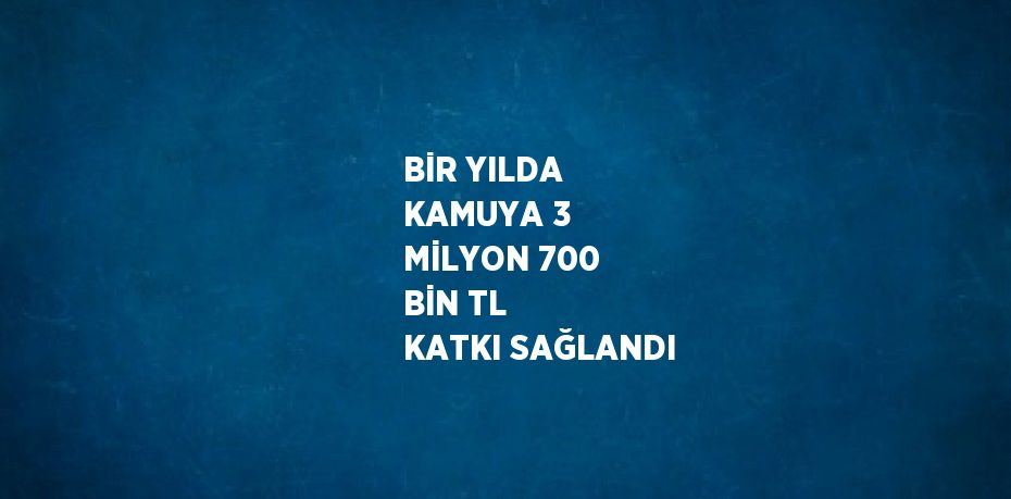 BİR YILDA KAMUYA 3 MİLYON 700 BİN TL KATKI SAĞLANDI