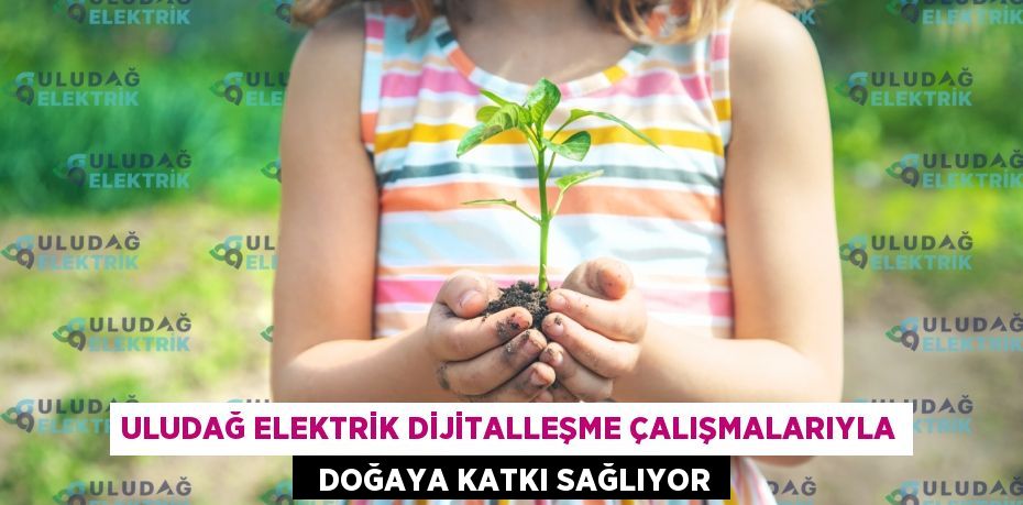 ULUDAĞ ELEKTRİK DİJİTALLEŞME ÇALIŞMALARIYLA   DOĞAYA KATKI SAĞLIYOR