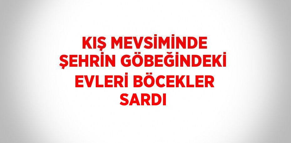 KIŞ MEVSİMİNDE ŞEHRİN GÖBEĞİNDEKİ EVLERİ BÖCEKLER SARDI