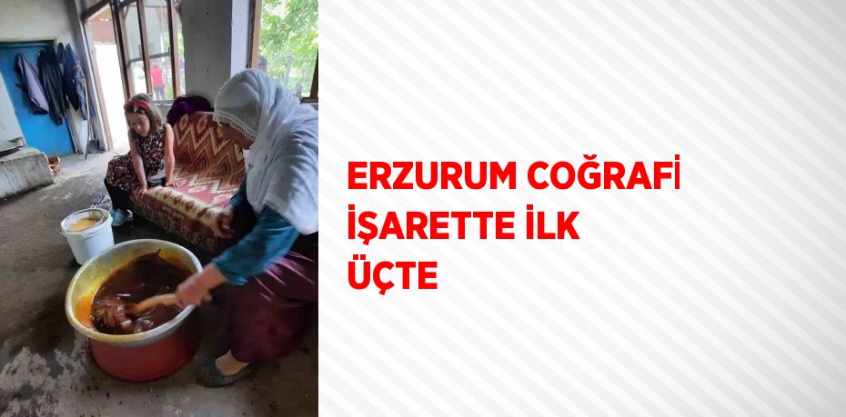 ERZURUM COĞRAFİ İŞARETTE İLK ÜÇTE