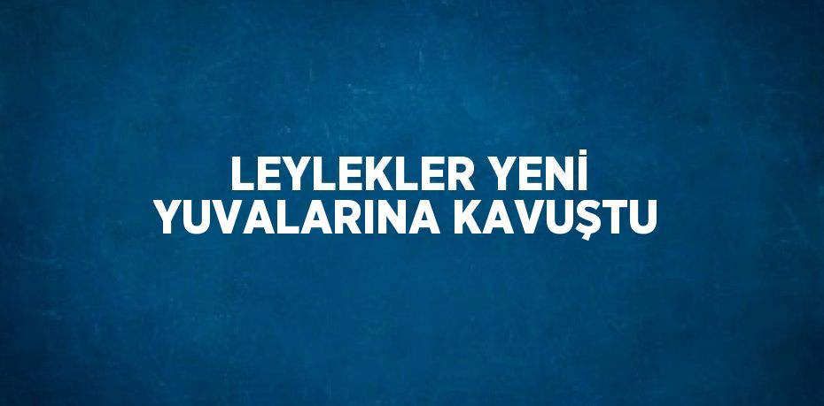 LEYLEKLER YENİ YUVALARINA KAVUŞTU