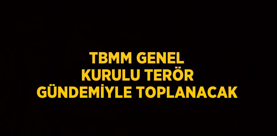 TBMM GENEL KURULU TERÖR GÜNDEMİYLE TOPLANACAK