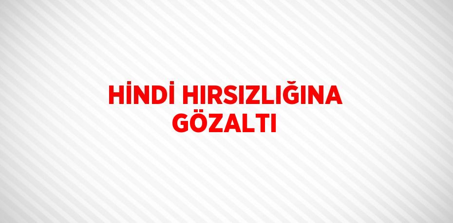 HİNDİ HIRSIZLIĞINA GÖZALTI