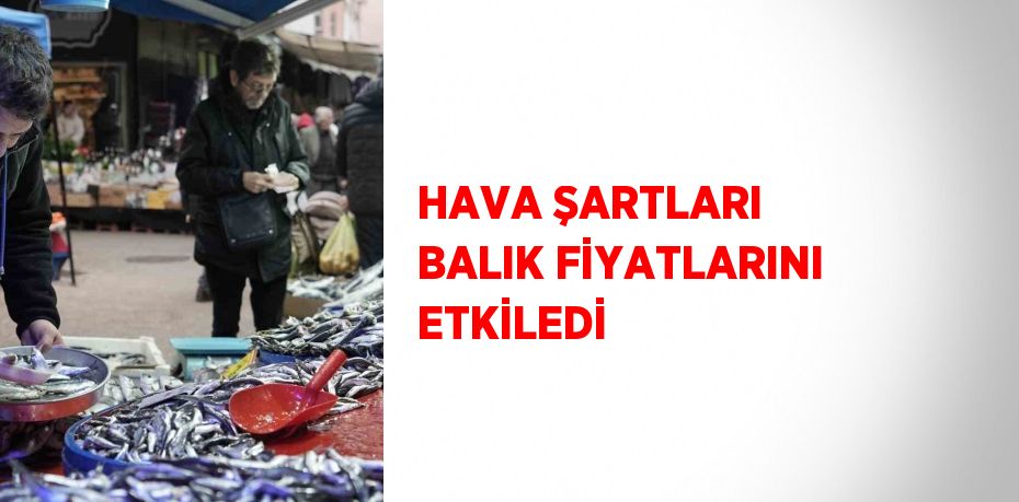 HAVA ŞARTLARI BALIK FİYATLARINI ETKİLEDİ