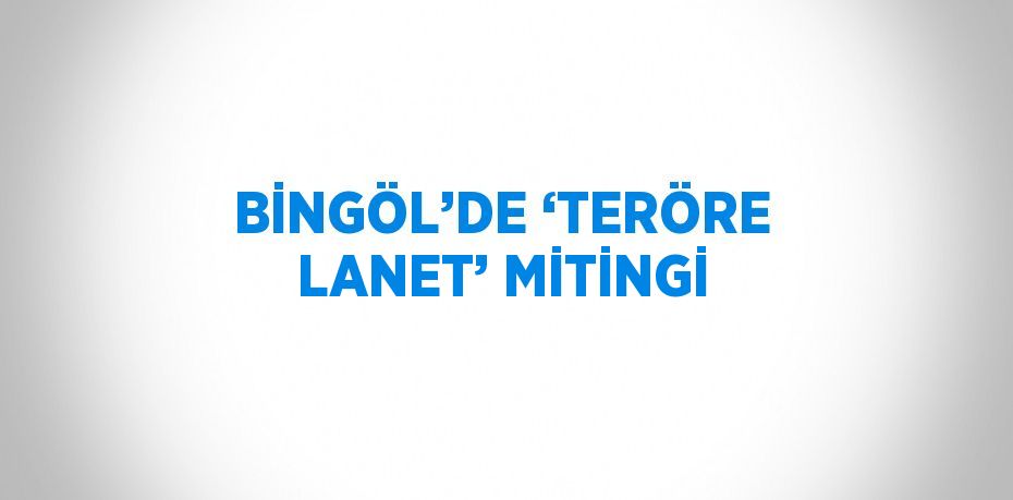 BİNGÖL’DE ‘TERÖRE LANET’ MİTİNGİ