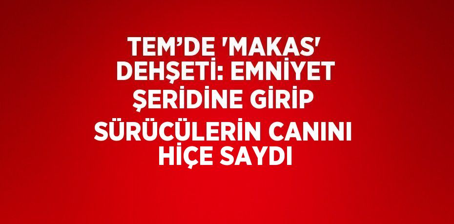 TEM’DE 'MAKAS' DEHŞETİ: EMNİYET ŞERİDİNE GİRİP SÜRÜCÜLERİN CANINI HİÇE SAYDI