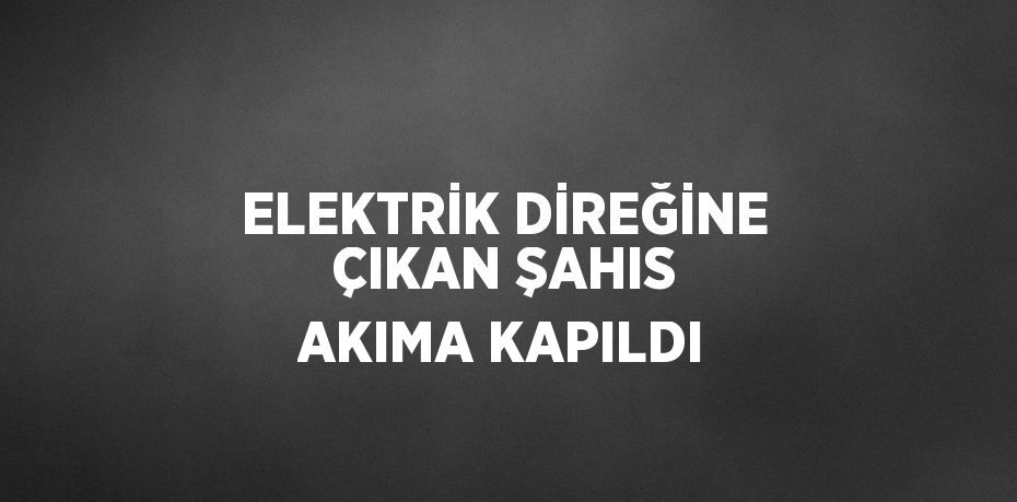 ELEKTRİK DİREĞİNE ÇIKAN ŞAHIS AKIMA KAPILDI