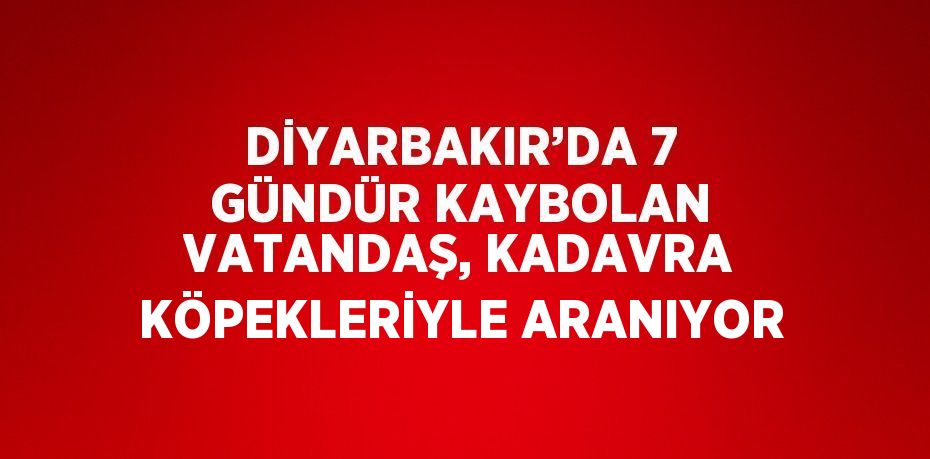 DİYARBAKIR’DA 7 GÜNDÜR KAYBOLAN VATANDAŞ, KADAVRA KÖPEKLERİYLE ARANIYOR