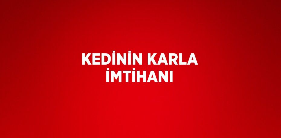 KEDİNİN KARLA İMTİHANI