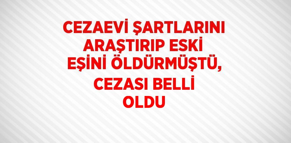 CEZAEVİ ŞARTLARINI ARAŞTIRIP ESKİ EŞİNİ ÖLDÜRMÜŞTÜ, CEZASI BELLİ OLDU