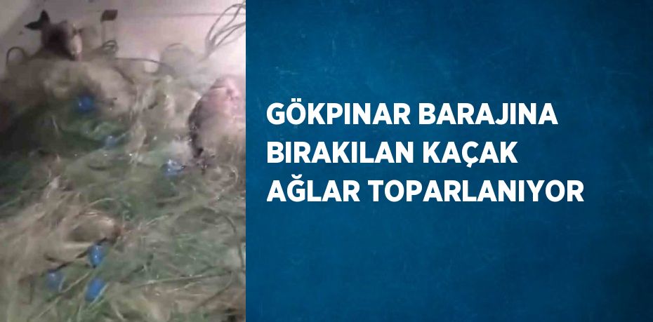 GÖKPINAR BARAJINA BIRAKILAN KAÇAK AĞLAR TOPARLANIYOR