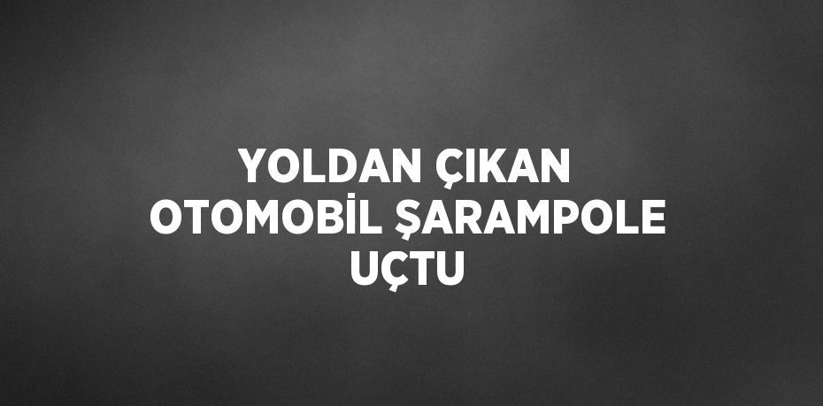 YOLDAN ÇIKAN OTOMOBİL ŞARAMPOLE UÇTU