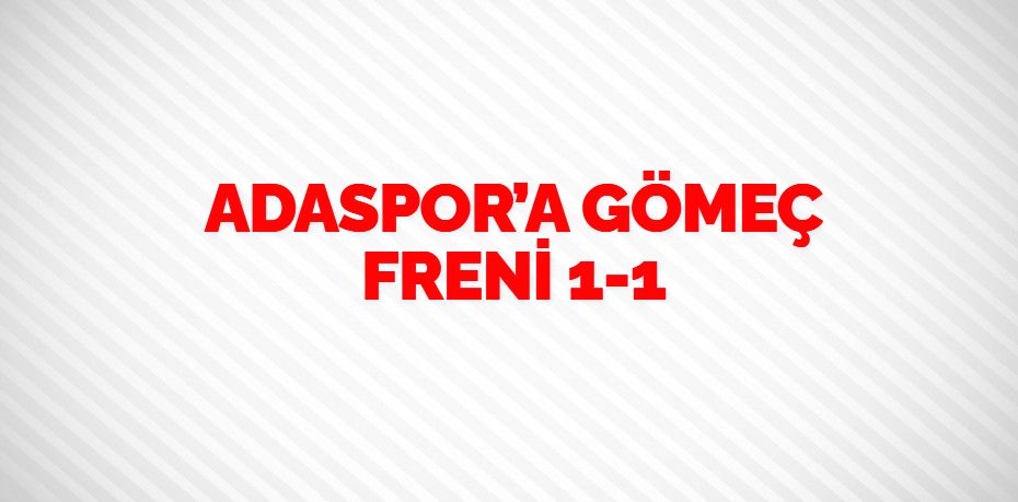 ADASPOR’A GÖMEÇ FRENİ   1-1