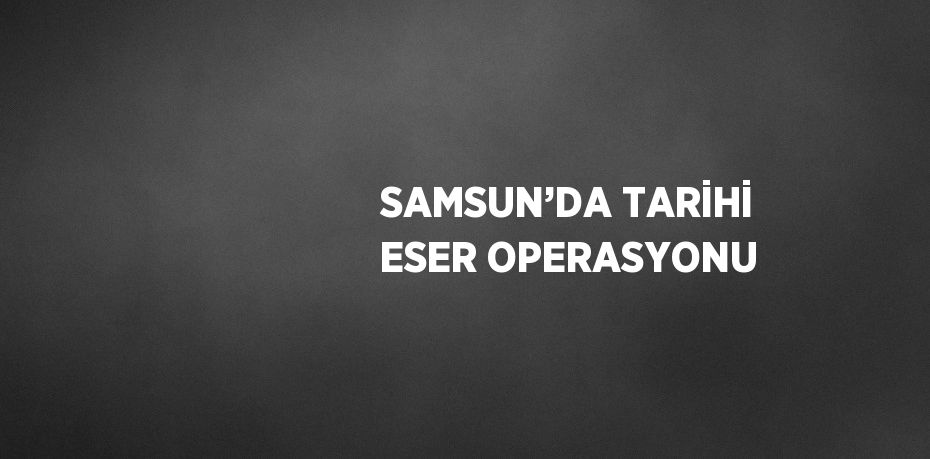 SAMSUN’DA TARİHİ ESER OPERASYONU