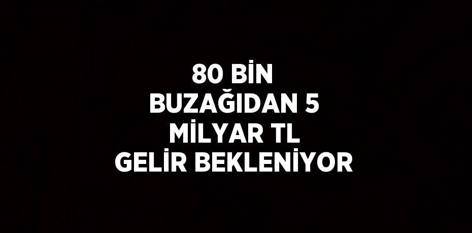 80 BİN BUZAĞIDAN 5 MİLYAR TL GELİR BEKLENİYOR