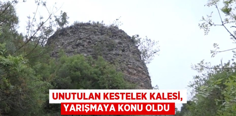 UNUTULAN KESTELEK KALESİ, YARIŞMAYA KONU OLDU