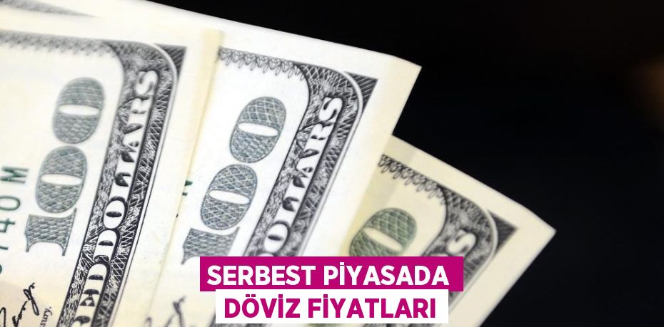 SERBEST PİYASADA DÖVİZ FİYATLARI