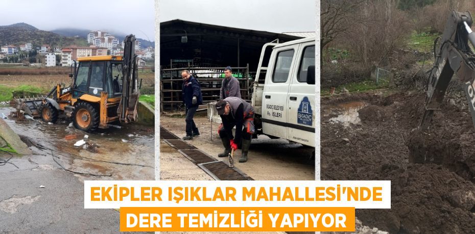 EKİPLER IŞIKLAR MAHALLESİ’NDE DERE TEMİZLİĞİ YAPIYOR