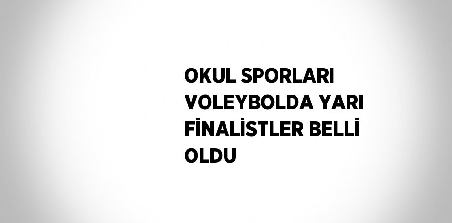 OKUL SPORLARI VOLEYBOLDA YARI FİNALİSTLER BELLİ OLDU