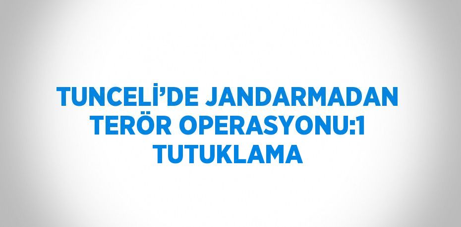 TUNCELİ’DE JANDARMADAN TERÖR OPERASYONU:1 TUTUKLAMA