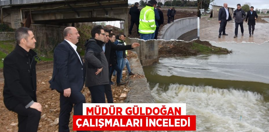 MÜDÜR GÜLDOĞAN ÇALIŞMALARI İNCELEDİ