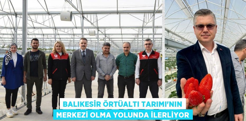 BALIKESİR ÖRTÜALTI TARIMI’NIN MERKEZİ OLMA YOLUNDA İLERLİYOR