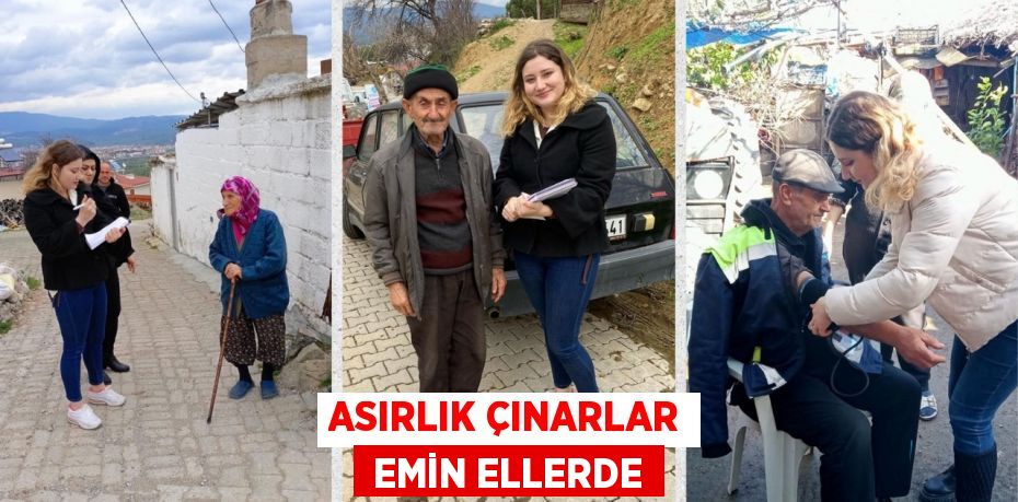 ASIRLIK ÇINARLAR  EMİN ELLERDE