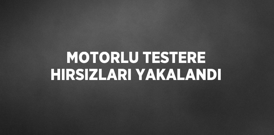 MOTORLU TESTERE HIRSIZLARI YAKALANDI