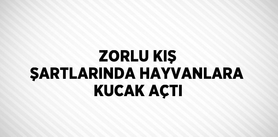 ZORLU KIŞ ŞARTLARINDA HAYVANLARA KUCAK AÇTI