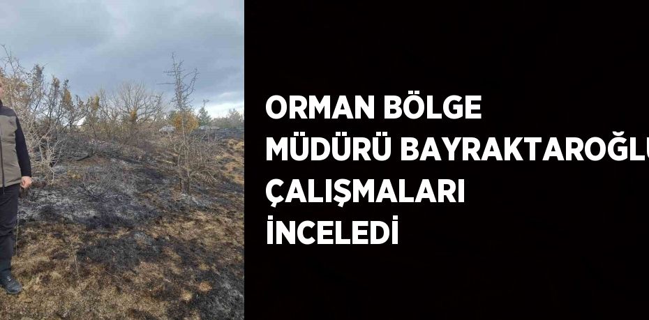 ORMAN BÖLGE MÜDÜRÜ BAYRAKTAROĞLU ÇALIŞMALARI İNCELEDİ