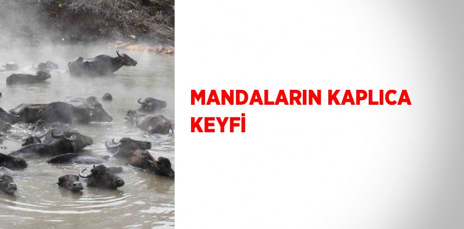 MANDALARIN KAPLICA KEYFİ