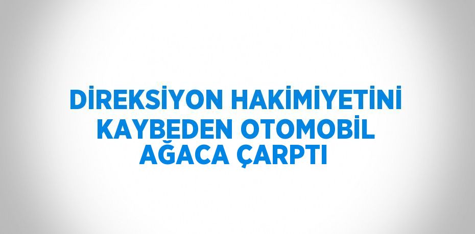 DİREKSİYON HAKİMİYETİNİ KAYBEDEN OTOMOBİL AĞACA ÇARPTI