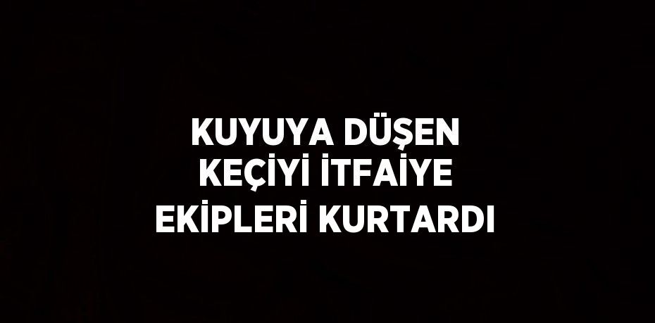 KUYUYA DÜŞEN KEÇİYİ İTFAİYE EKİPLERİ KURTARDI