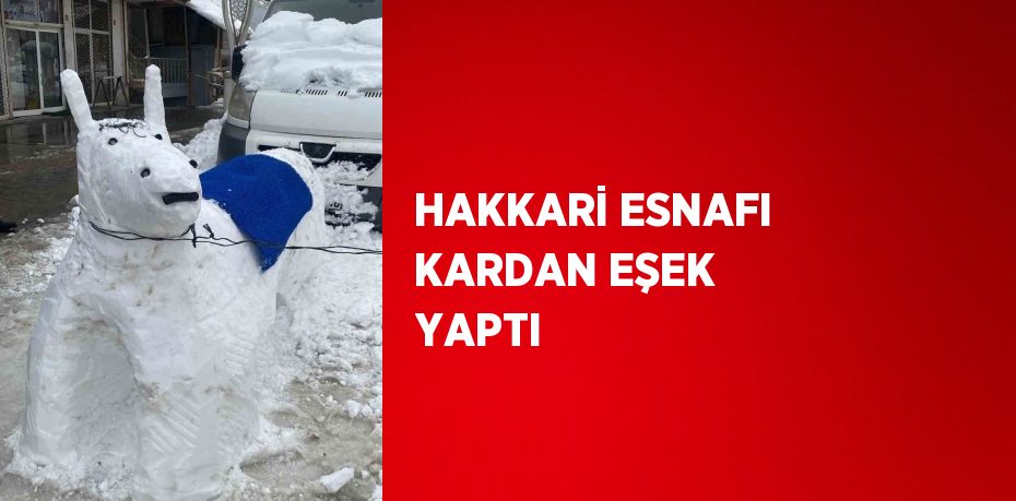 HAKKARİ ESNAFI KARDAN EŞEK YAPTI