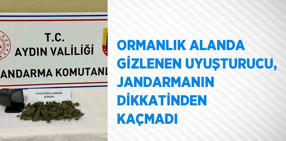 ORMANLIK ALANDA GİZLENEN UYUŞTURUCU, JANDARMANIN DİKKATİNDEN KAÇMADI