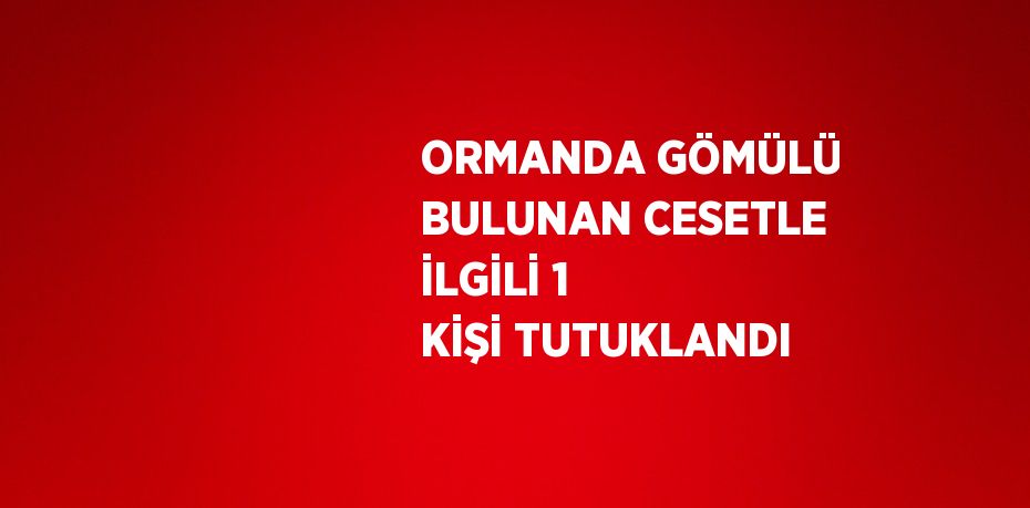 ORMANDA GÖMÜLÜ BULUNAN CESETLE İLGİLİ 1 KİŞİ TUTUKLANDI