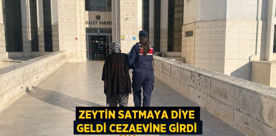 ZEYTİN SATMAYA DİYE GELDİ CEZAEVİNE GİRDİ
