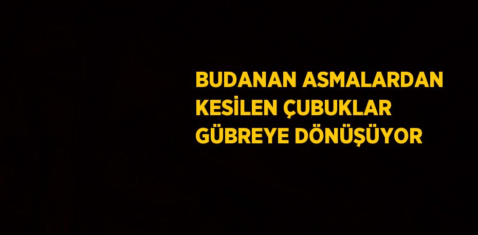 BUDANAN ASMALARDAN KESİLEN ÇUBUKLAR GÜBREYE DÖNÜŞÜYOR