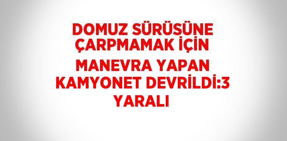 DOMUZ SÜRÜSÜNE ÇARPMAMAK İÇİN MANEVRA YAPAN KAMYONET DEVRİLDİ:3 YARALI