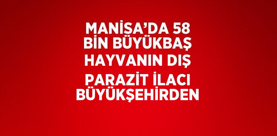 MANİSA’DA 58 BİN BÜYÜKBAŞ HAYVANIN DIŞ PARAZİT İLACI BÜYÜKŞEHİRDEN