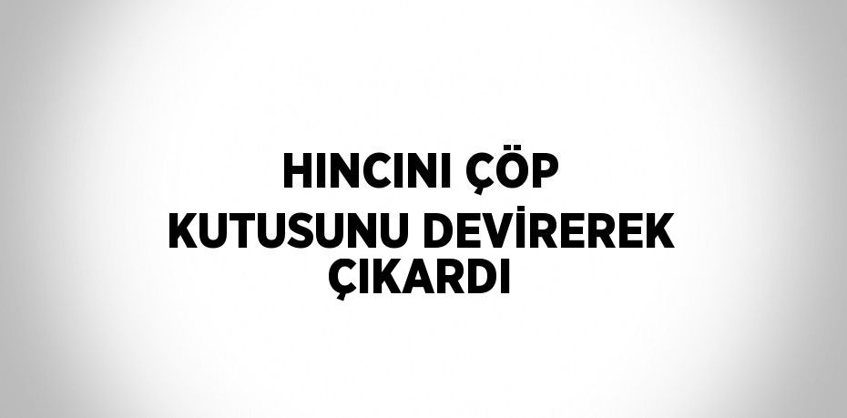 HINCINI ÇÖP KUTUSUNU DEVİREREK ÇIKARDI