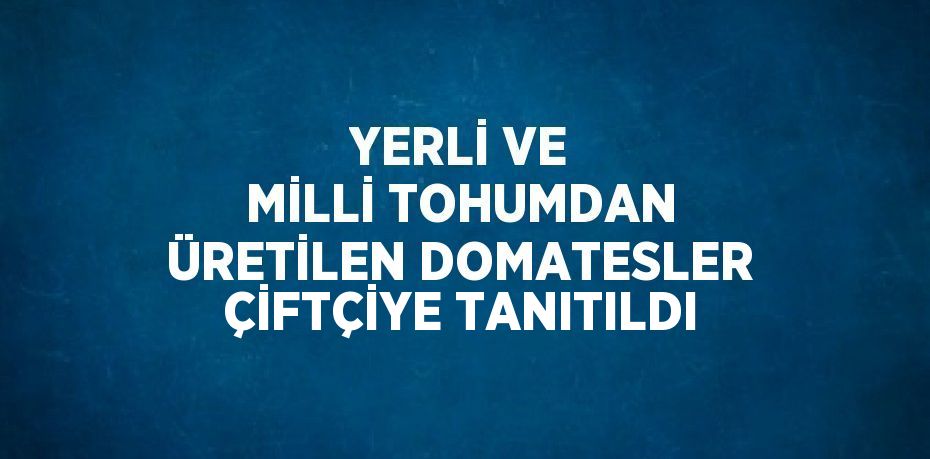 YERLİ VE MİLLİ TOHUMDAN ÜRETİLEN DOMATESLER ÇİFTÇİYE TANITILDI